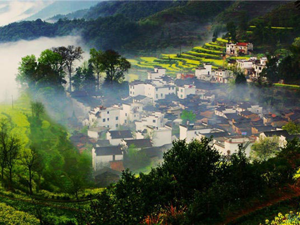 1490677994218240.jpg 10.jpg